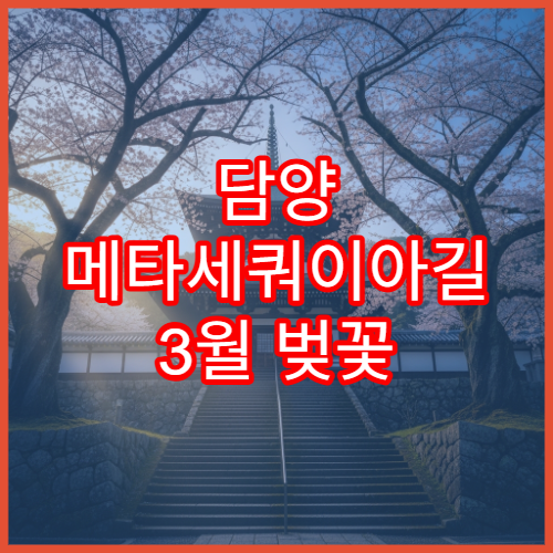담양 메타세쿼이아길 3월 벚꽃 드라이브 코스