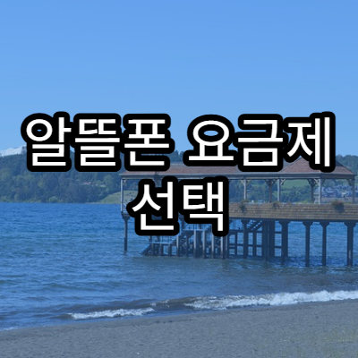 알뜰폰 요금제 선택 팁