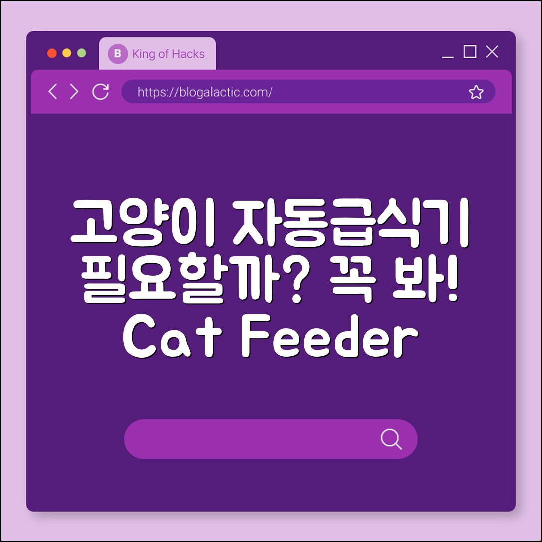 고양이 자동급식기, 정말 필요할까요?