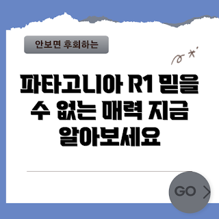 파타고니아 R1, 아웃도어 전문가, 겨울 스포츠, 기능성 의류, 멋진 아우터
