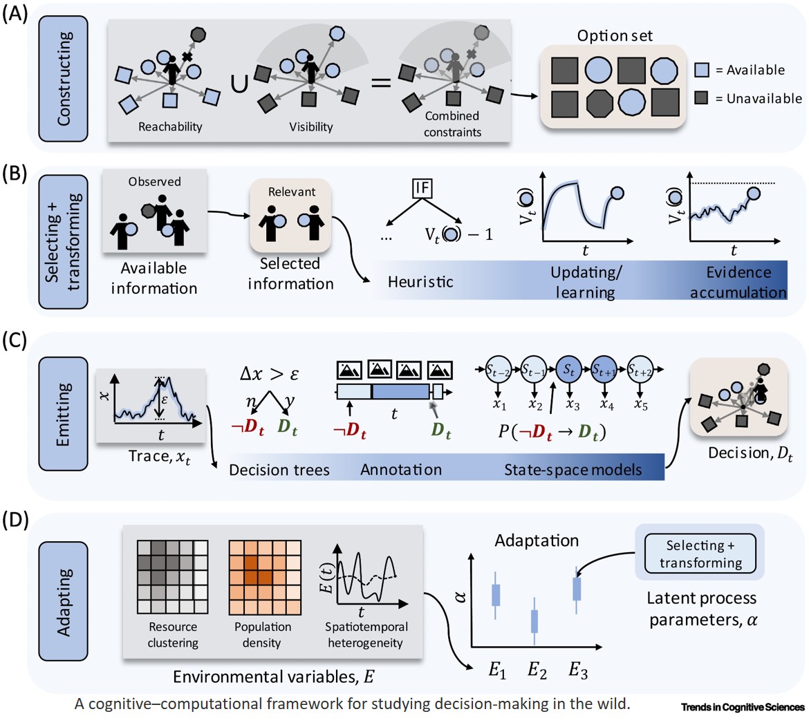 Cognitive process in real-life decision-making