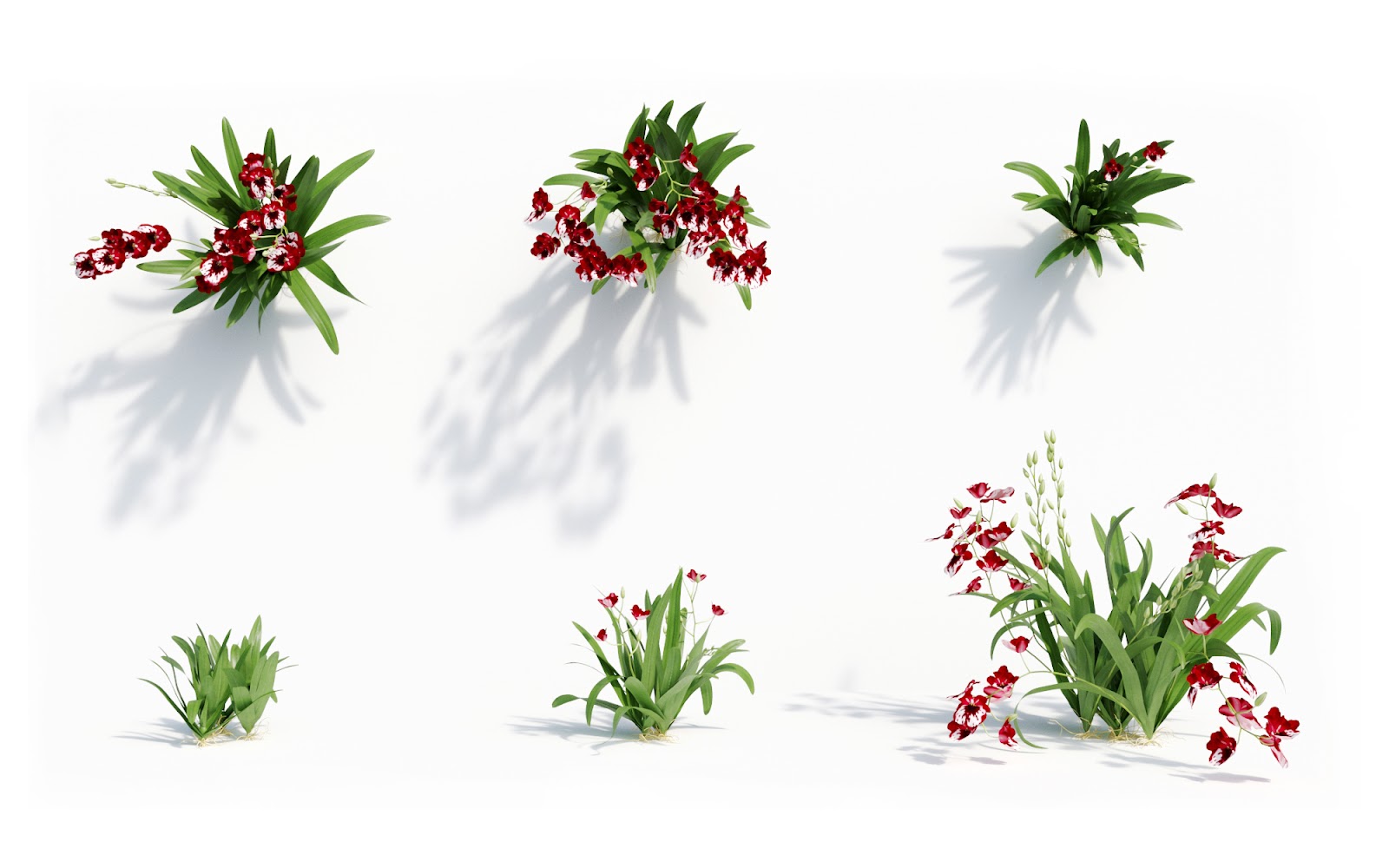 Maxtree - Plant Models Vol.8