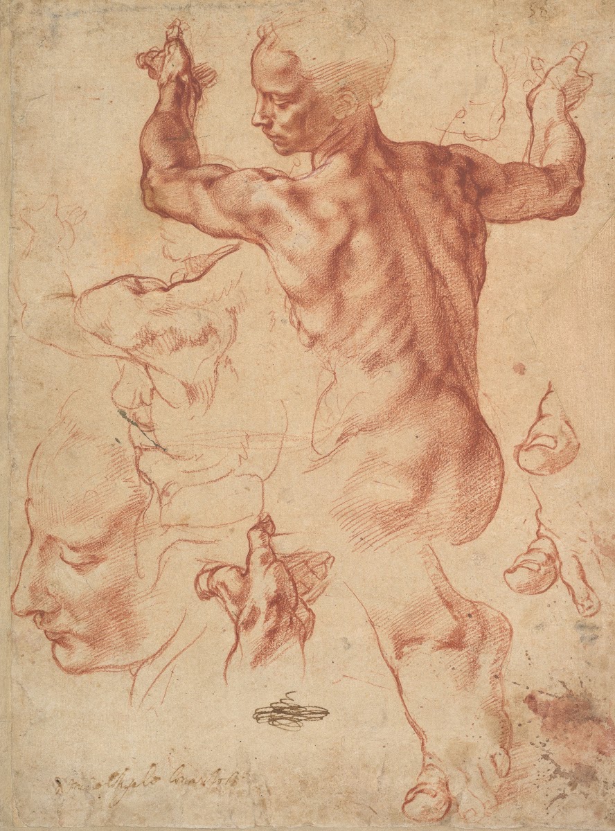 Studies for the Libyan Sibyl ca 151011