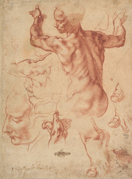 Studies for the Libyan Sibyl ca 151011