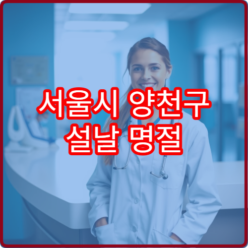 서울시 양천구 설날 명절 소아과 연휴 진료 병원 고열·설사·호흡기 감염 응급 진료 가능