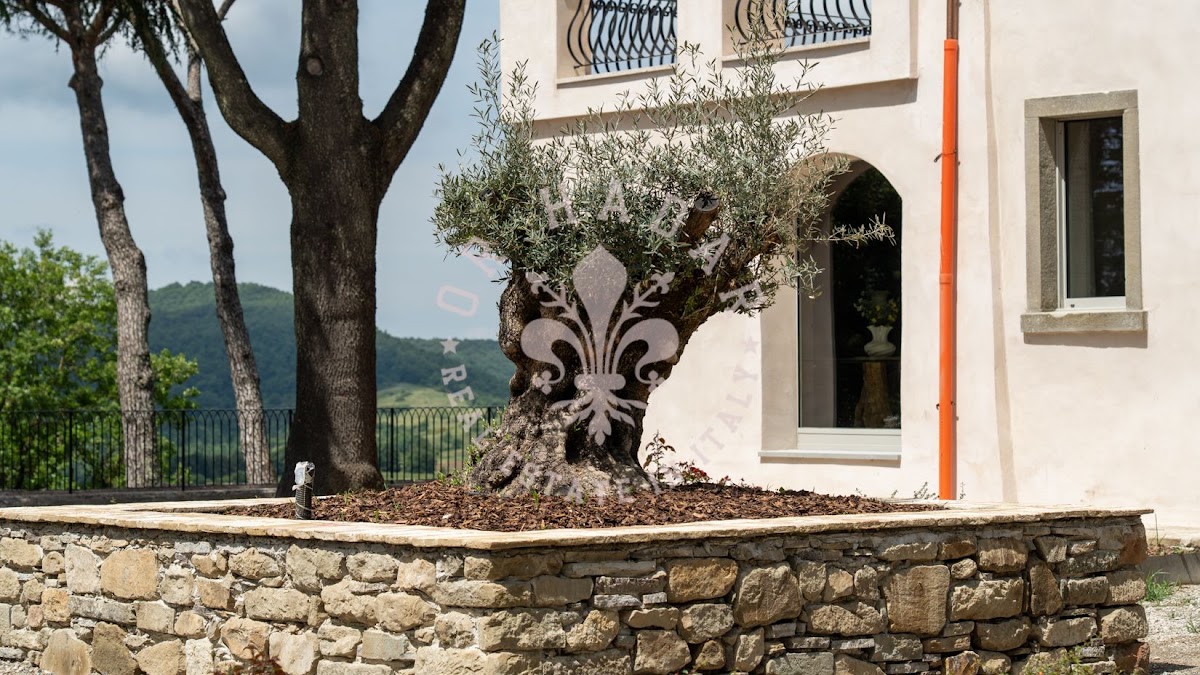 אחוזת טרסימנו לקסוס (Tenuta Trasimeno Lux) — 23