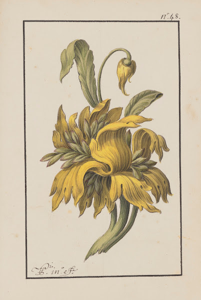 Scherzi Del Colonnello Franco Pl48 18th Century