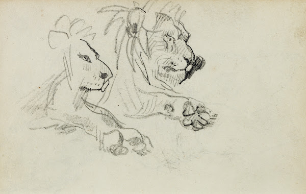 Two lion studies 1812   1814