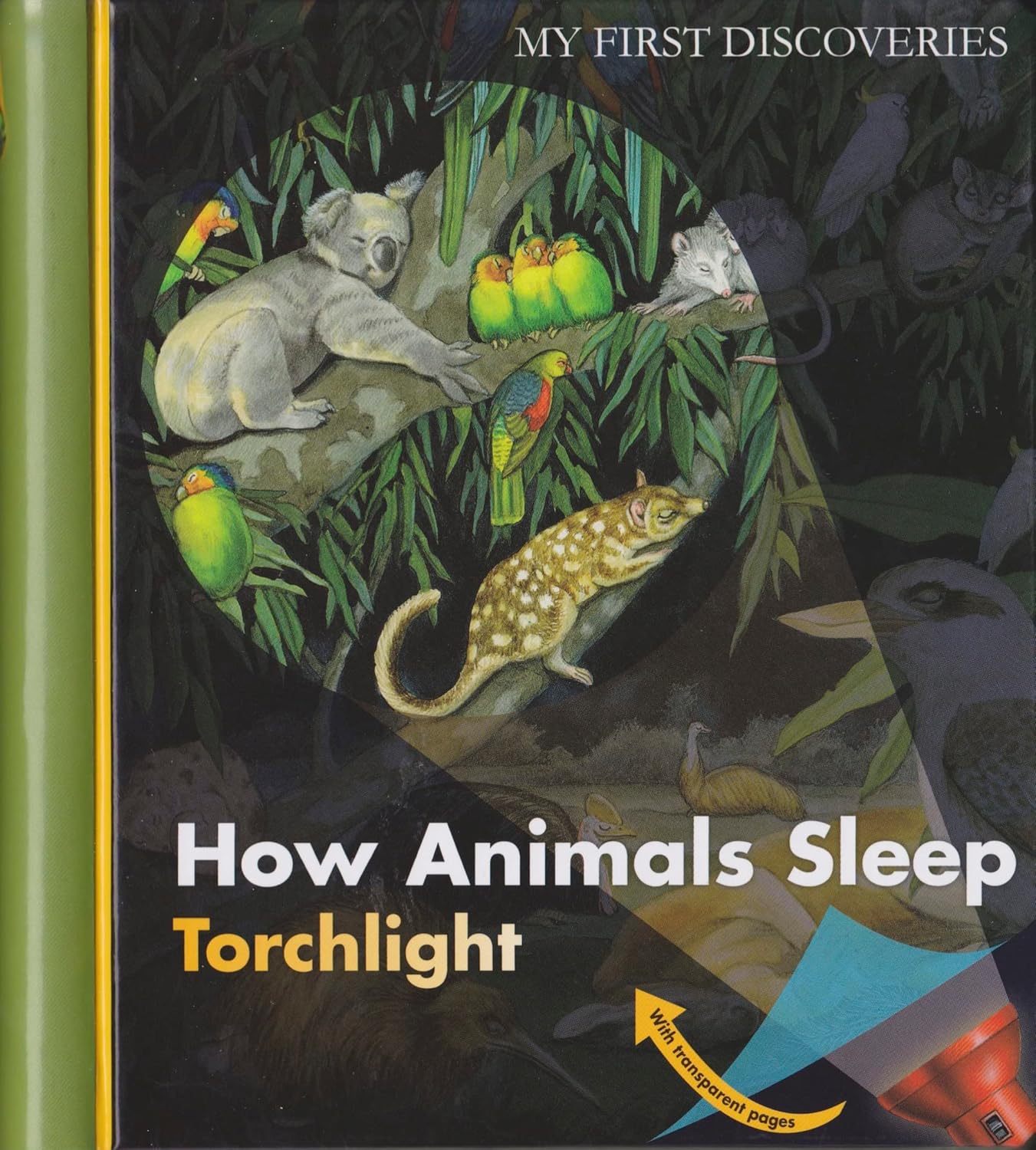 How Animal Sleep [PO]