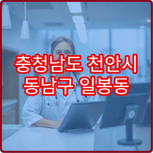 충청남도 천안시 동남구 일봉동 설날 명절 당직약국 문 여는 정보