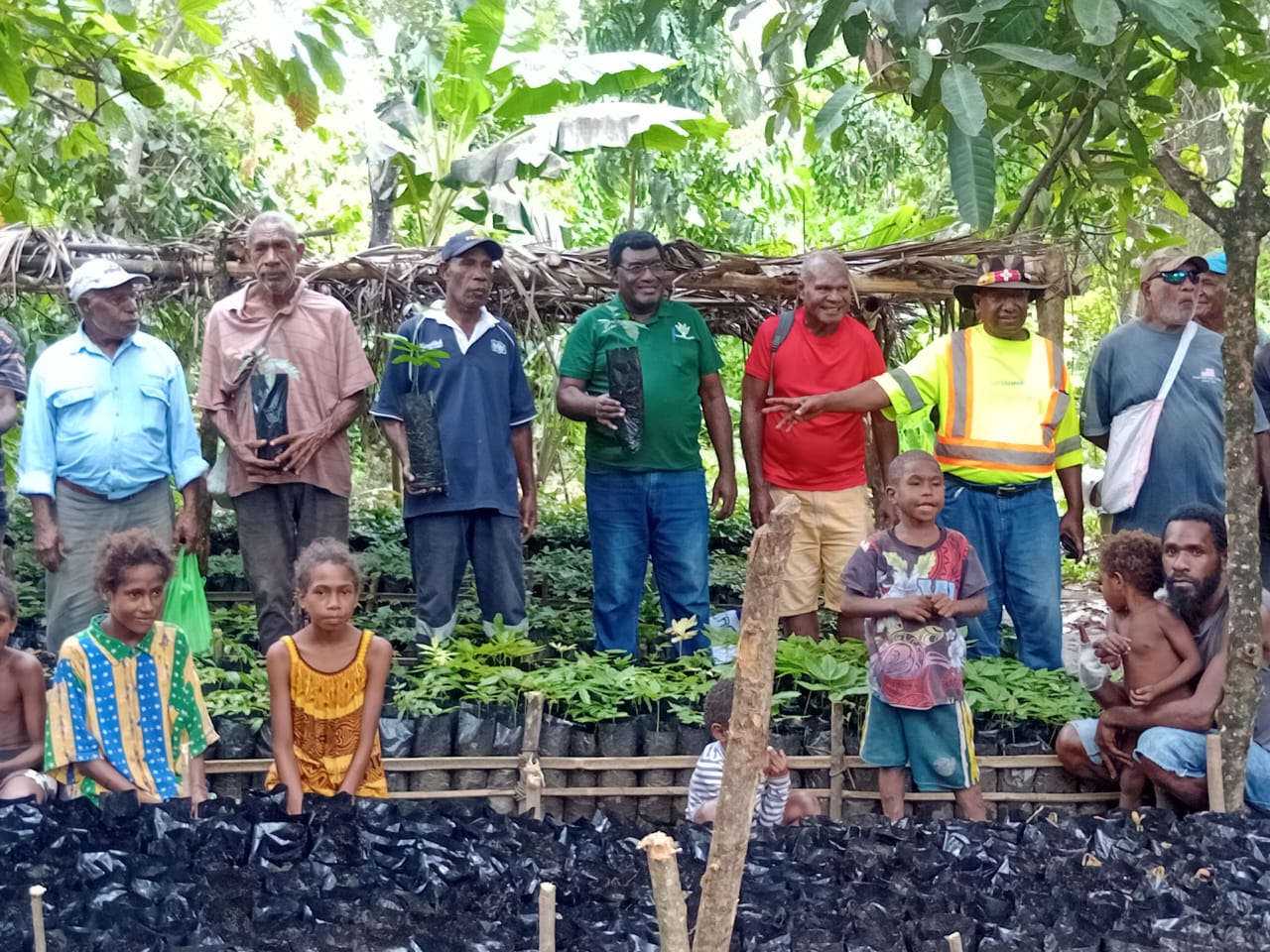 Local nursery with community members tending seedlings