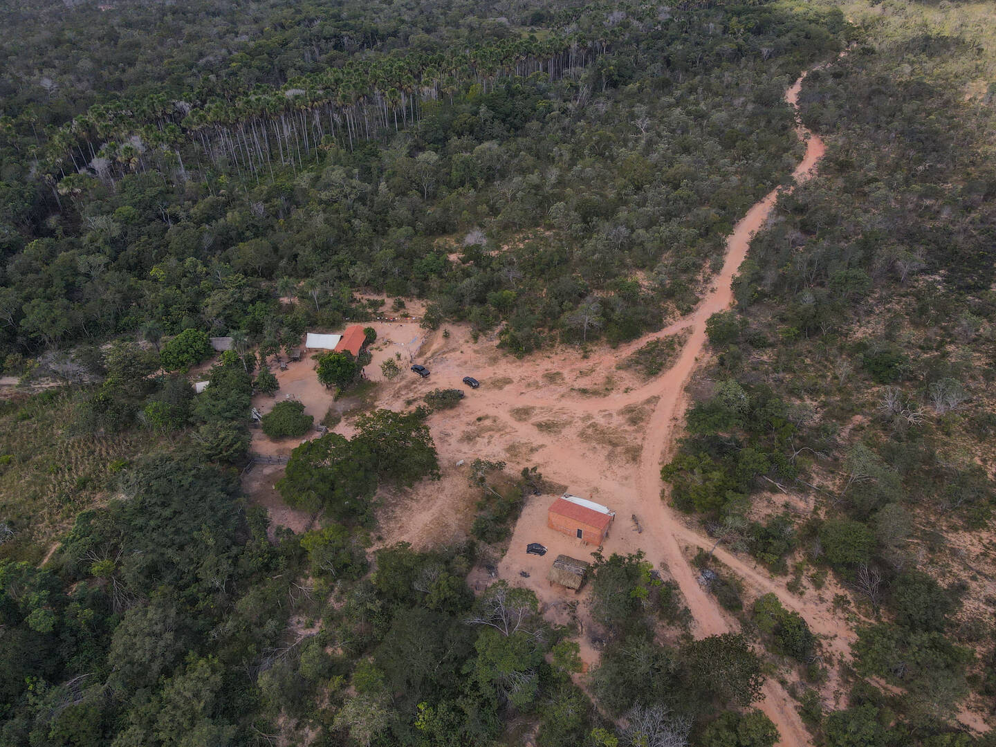 Fazenda em Gilbués - PI 10