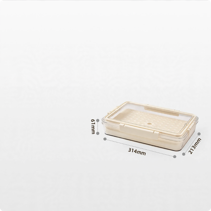 Tragbare Frischhaltebox mit Abtropfplatte