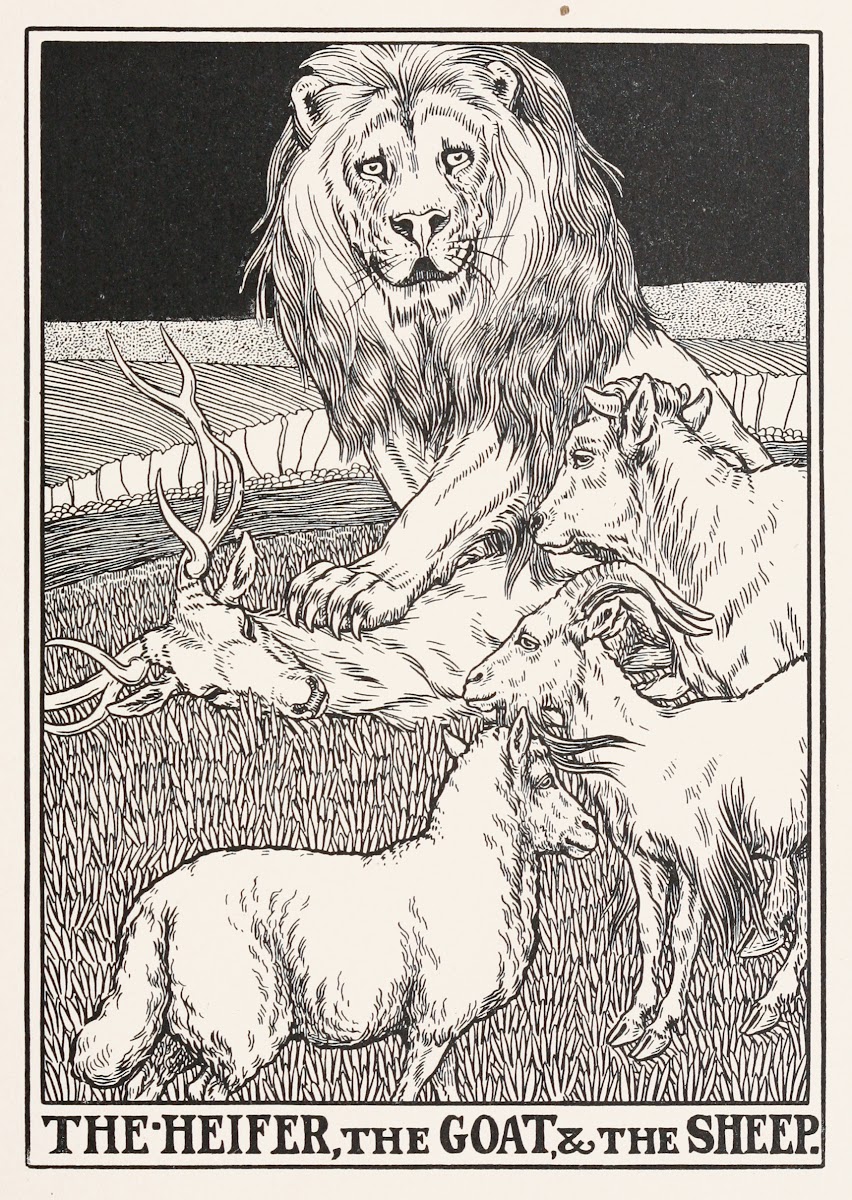 The Heifer the Goat and the Sheep 1900