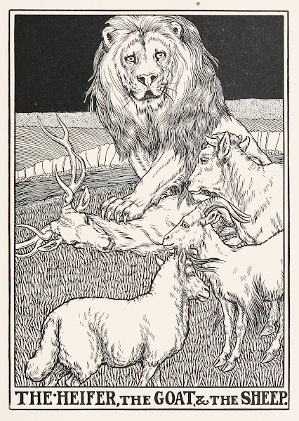 The Heifer the Goat and the Sheep 1900