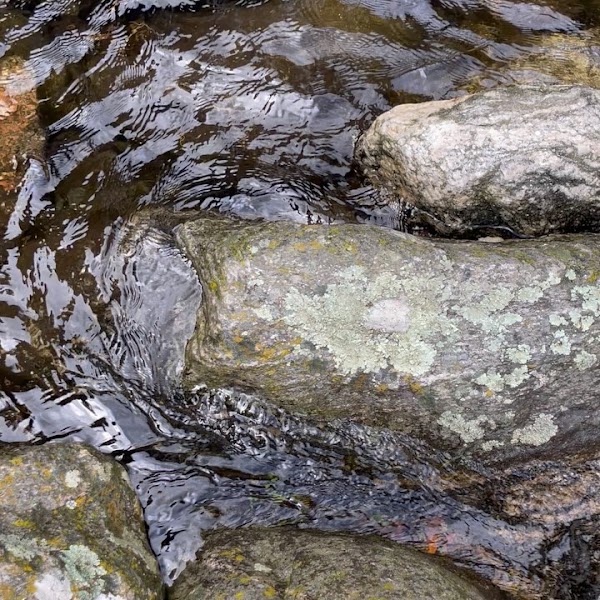 Trek a Los Chorros y Bosque de Tabaquillos