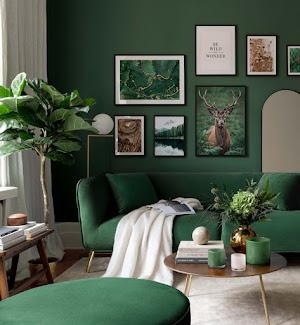 Green Interior Design Picture