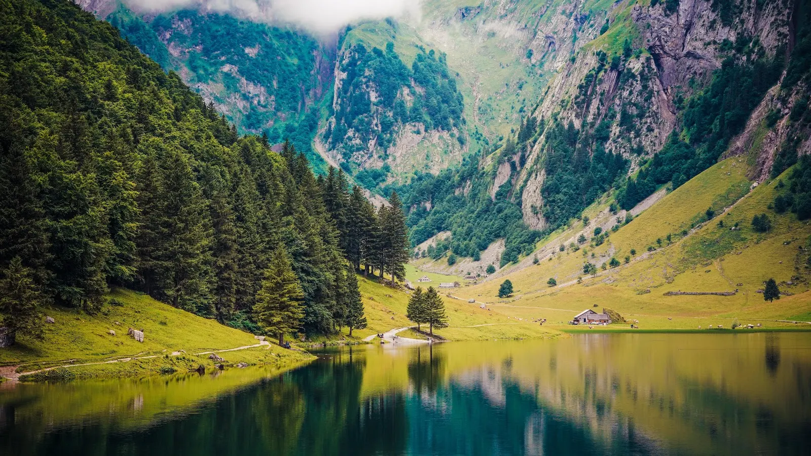 Seealpsee Alpine Lake In Switzerland - Landscape Photography 5K Wallpaper (5120x2880)