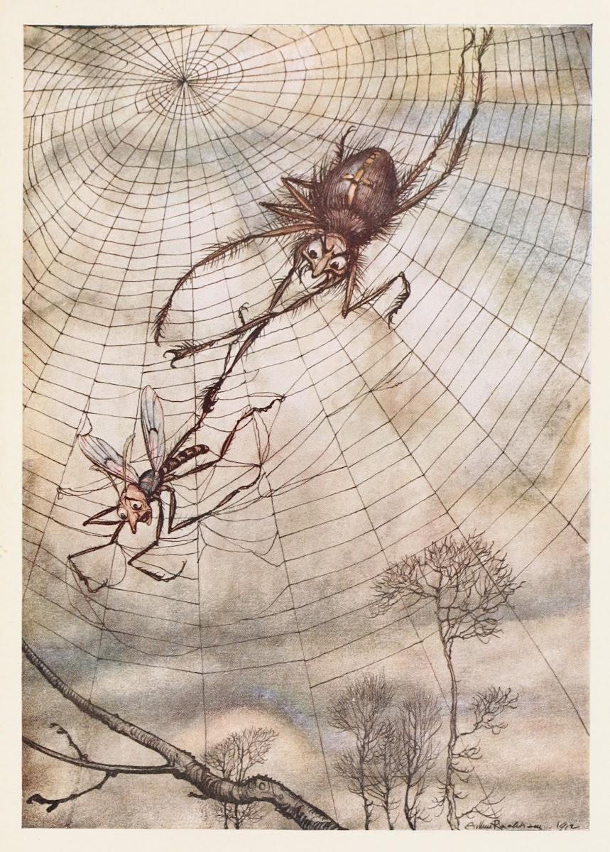 The Gnat and the Lion 1912