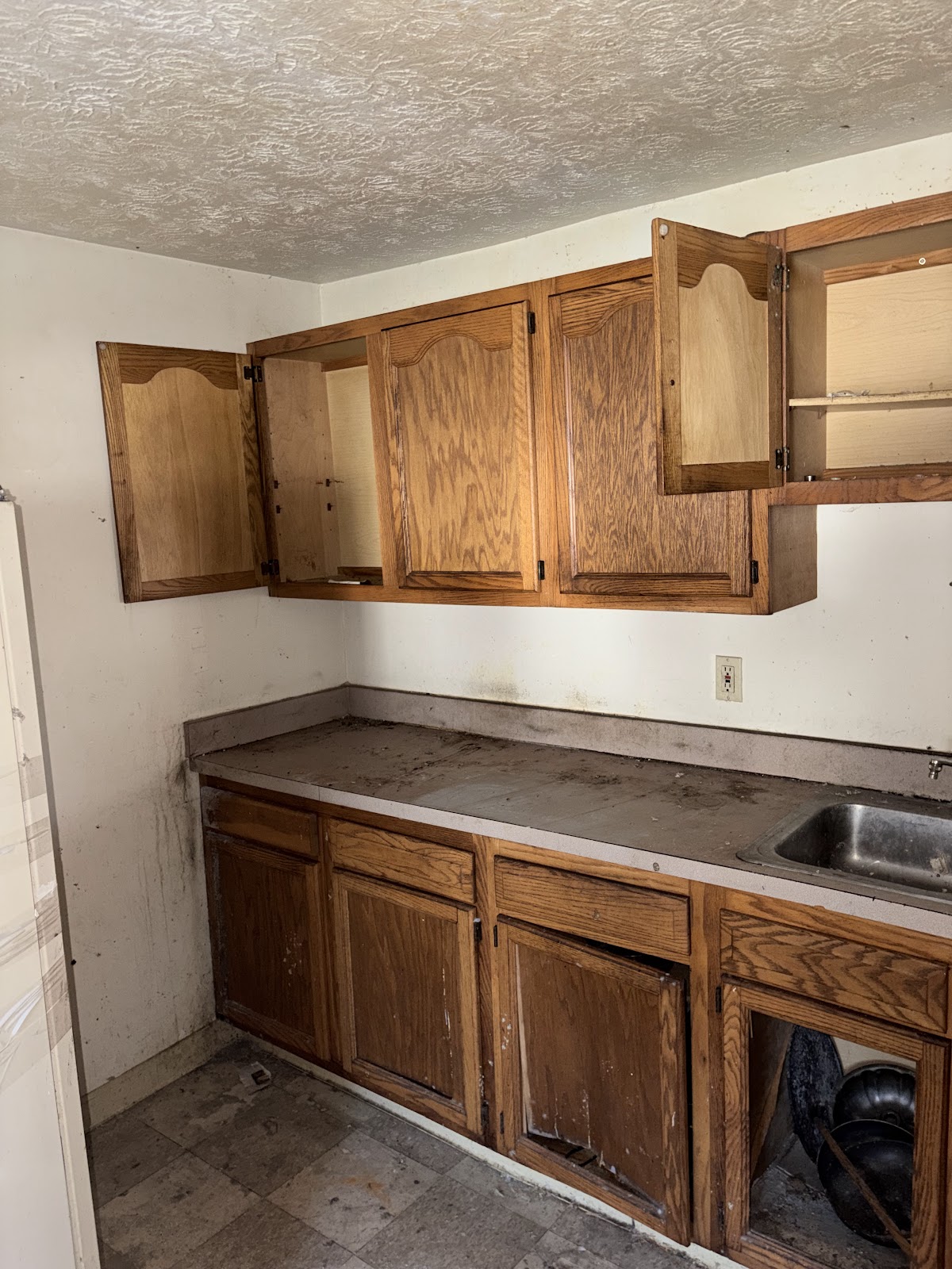 Copy of IMG_8188.HEIC