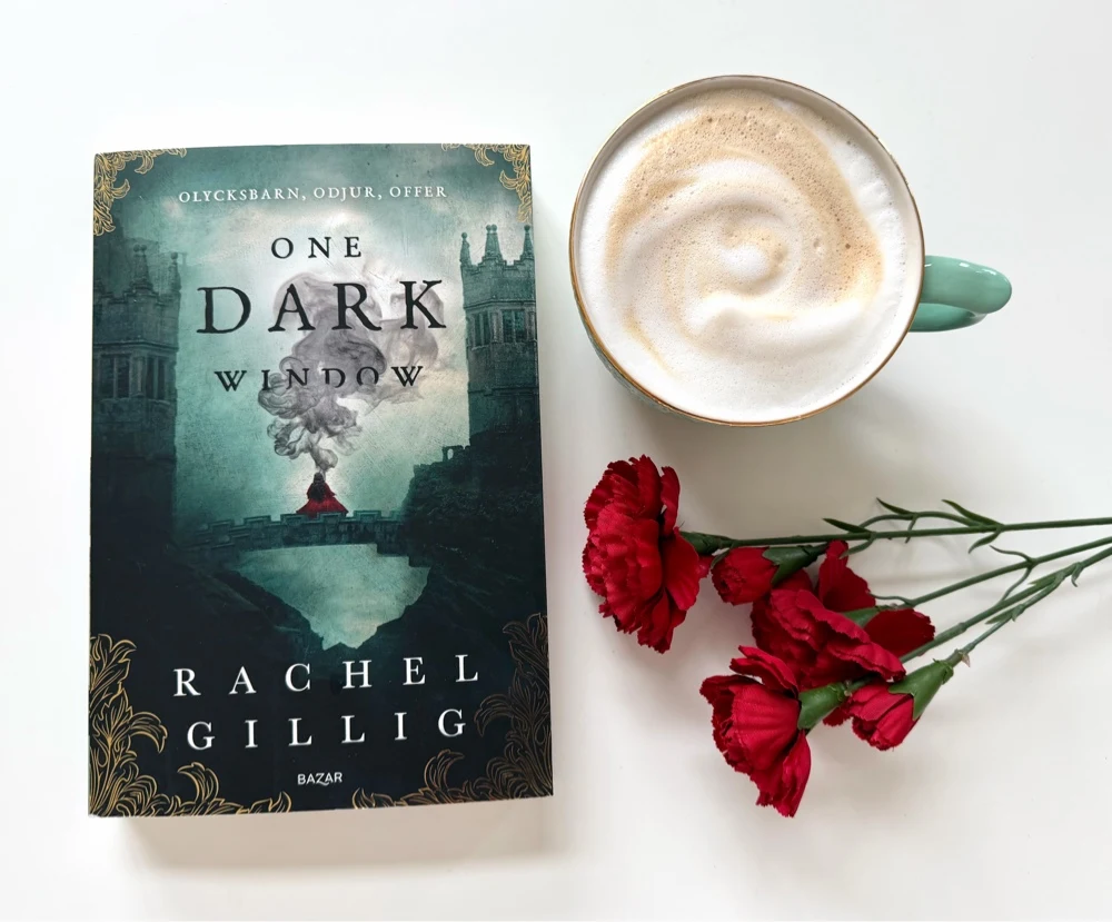 One Dark Window av Rachel Gillig