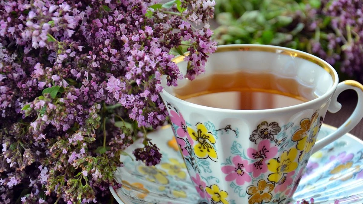 공복에 물 대신 차를 마시면 좋은 이유와 건강 효과