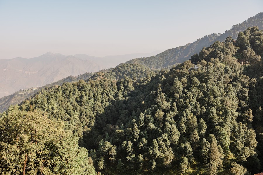 Super Deluxe With Balcony — Hotel Shiva Continental Mussoorie, photo 3