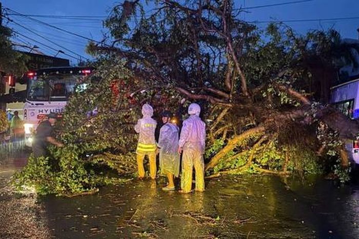 CLIP: Mưa gió kinh hoàng, nhiều nhà dân tốc mái, cây xanh gãy đổ la liệt - Báo Người Lao Động