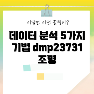 dmp23731, 데이터 분석 기법, 초보자 데이터 분석, 전문가 데이터 활용, 데이터 분석 팁