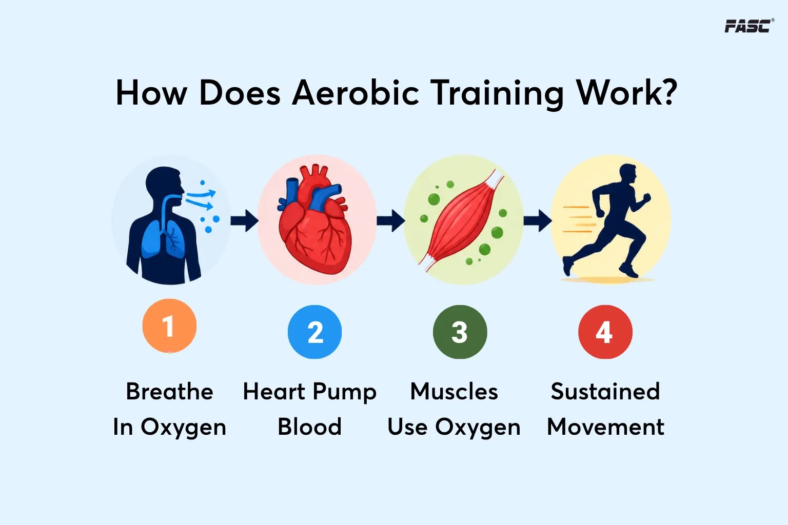 How does aerobic training work?