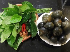 Ngâm ốc trong nước có thêm vài lát ớt trong khoảng 2-3h cho ốc nhả bớt chất bẩn và nhớt.
