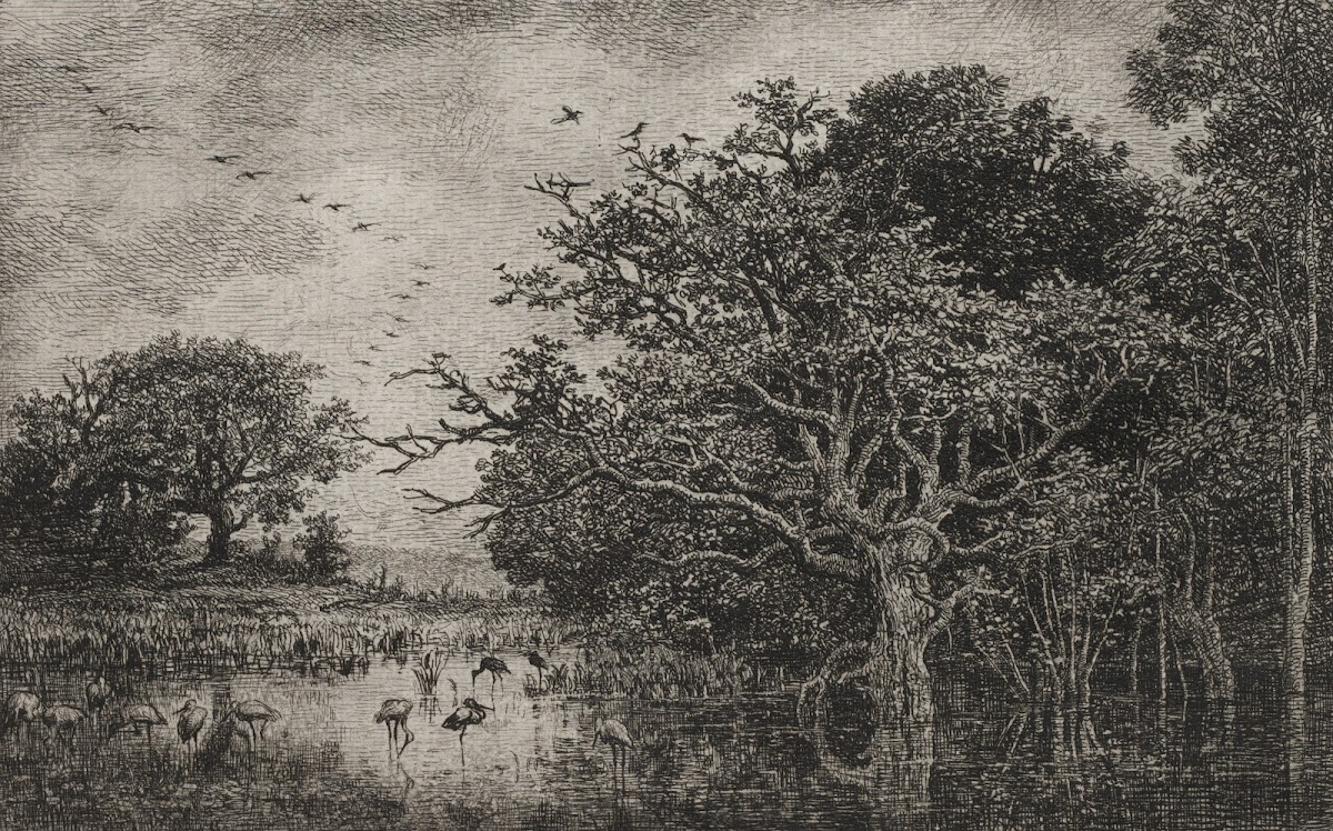 The Marsh with Storks c 1851