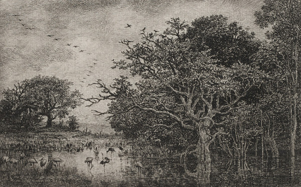The Marsh with Storks c 1851