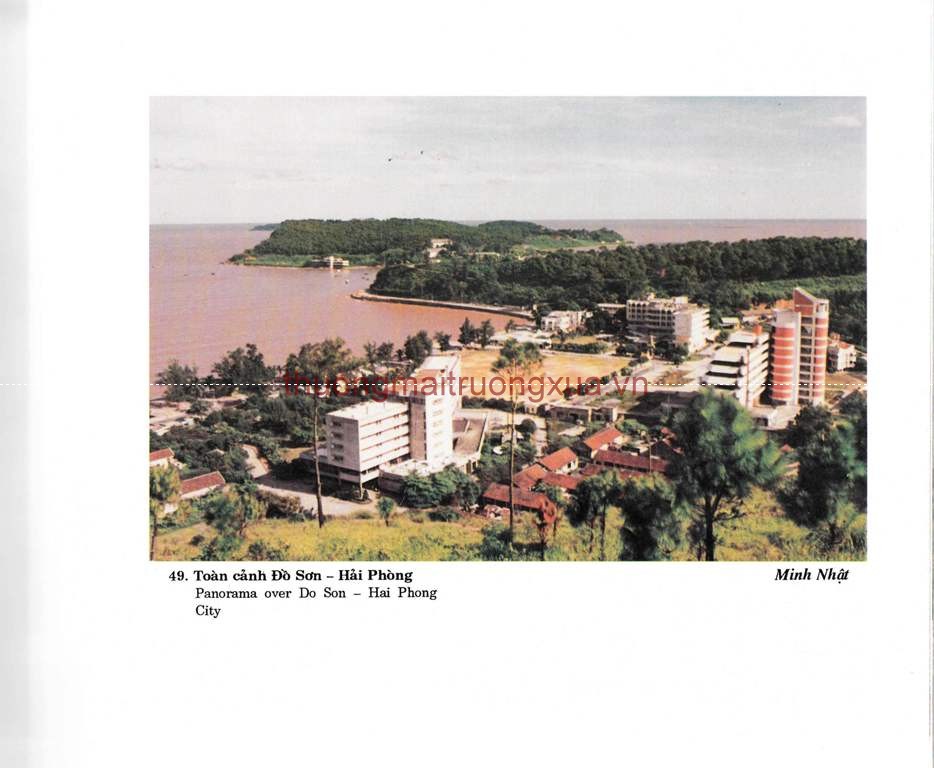 Tập san : Mực tím (số 66 - 1992) - Trang 56