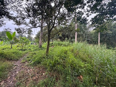 Tanah Dusun Matang 8 Ekar, Batu 18 Hulu Langat — foto 9/10