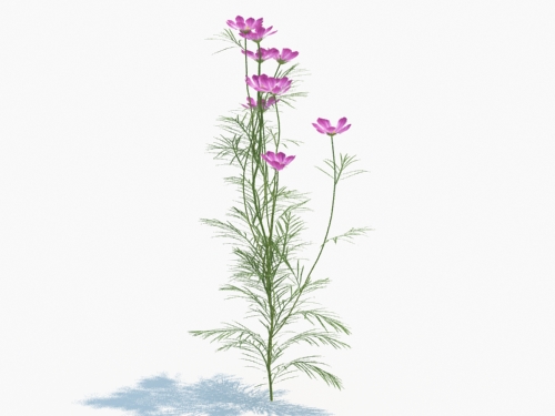 Maxtree - Plant Models Vol.3