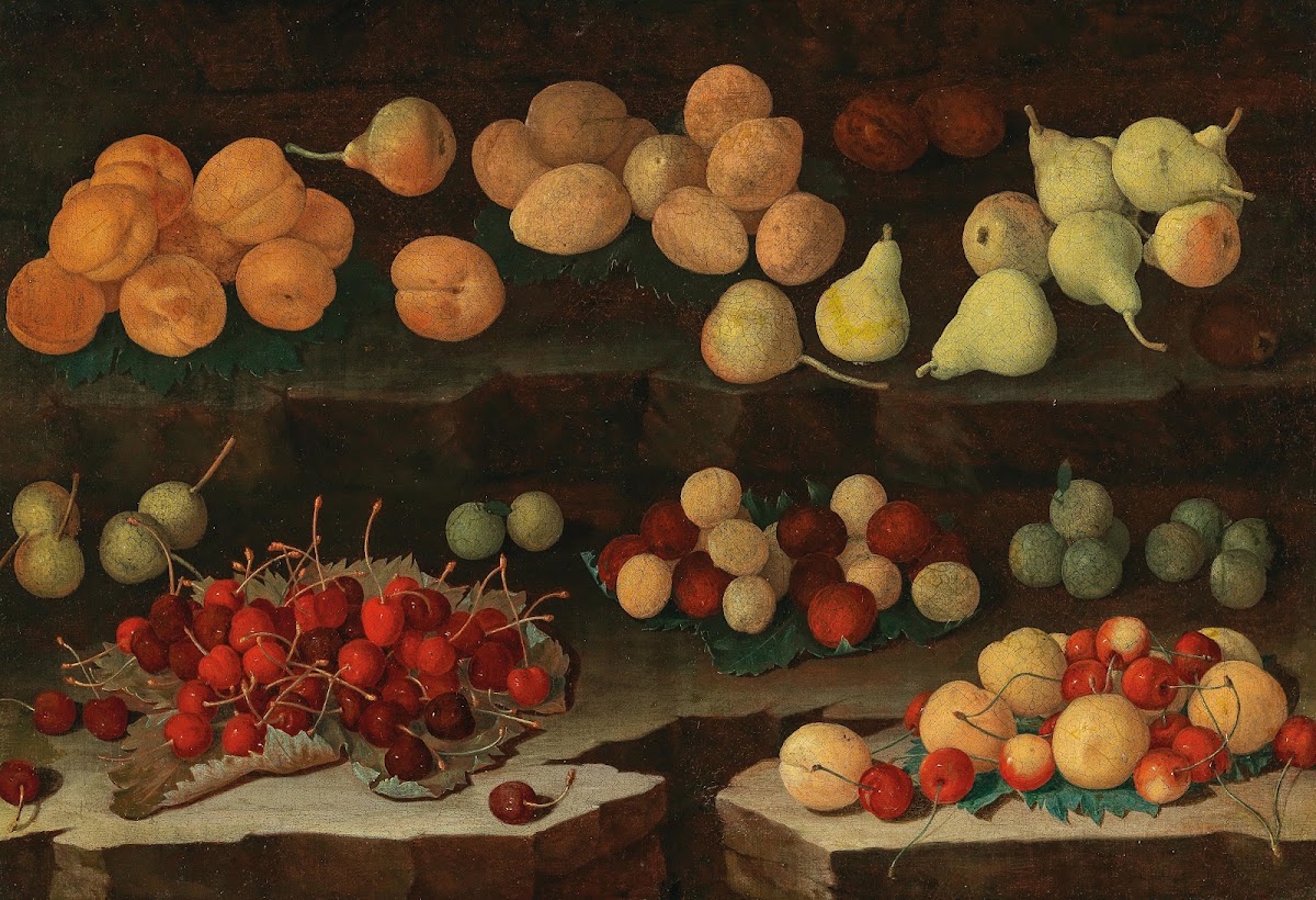 Apricots pears cherries and plums on a ledge early 17th Century