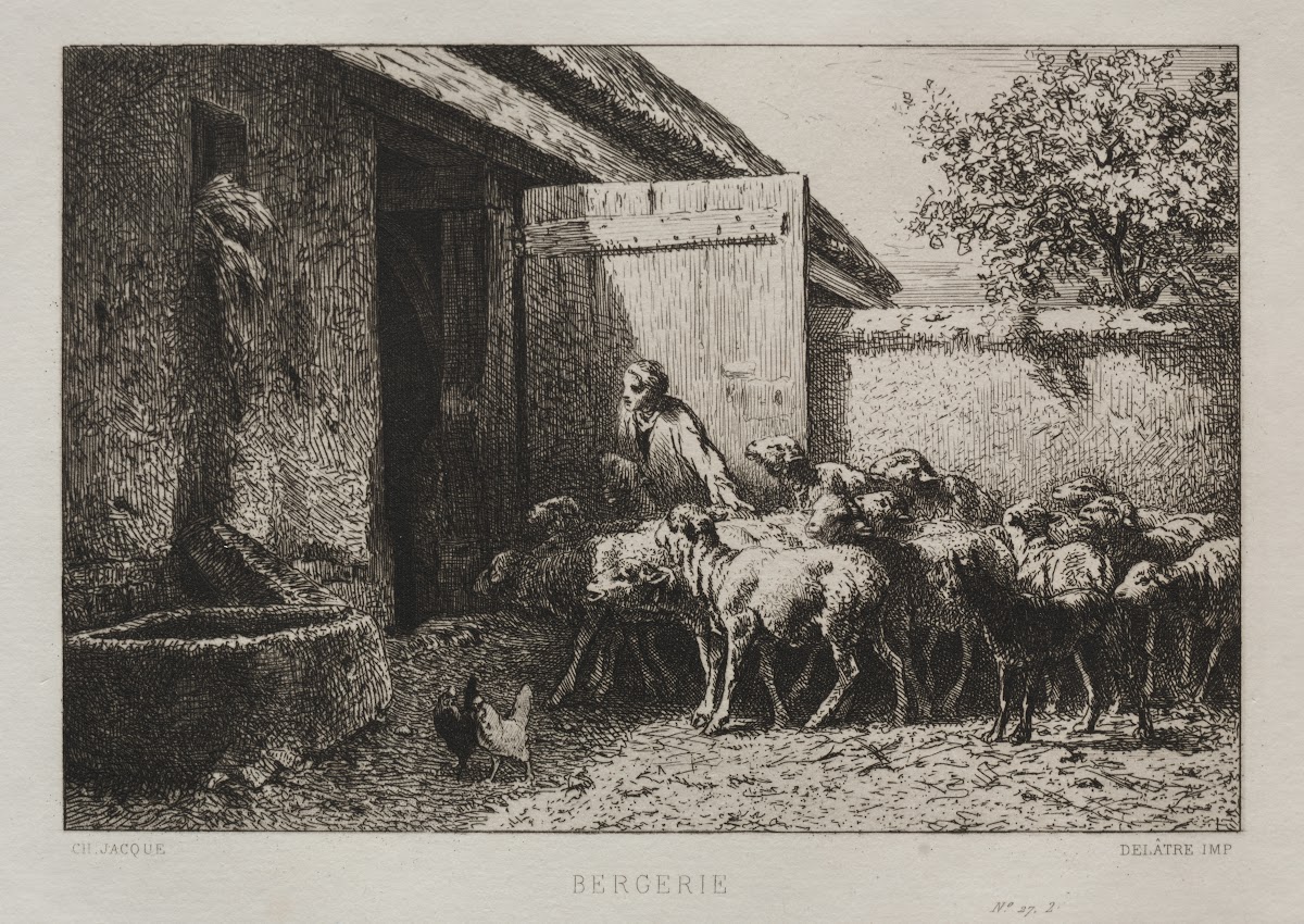 Sheepfold 1865
