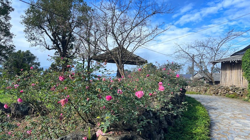 Ảnh chi tiết 1