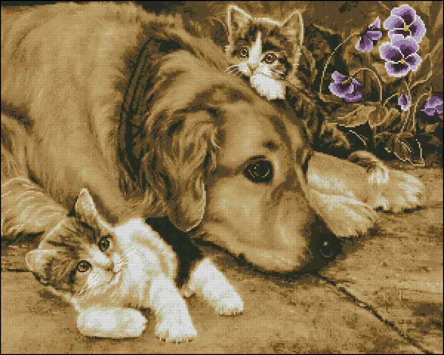 CMP 400679 Friends