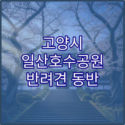 고양시 일산호수공원 반려견 동반 산책 안전 코스