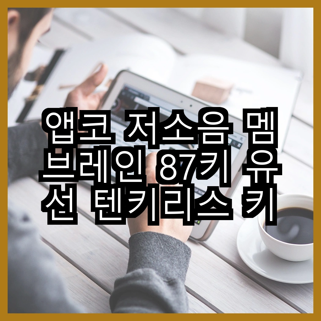 앱코 저소음 멤브레인 87키 유선 텐키리스 키보드 vs 앱코 저소음 108키 키보드, 어떤 선택이 더 나을까? 썸네일