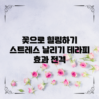 꽃테라피효과, 스트레스 해소법, 가을 꽃, 마음 치유, 웰빙 트렌드