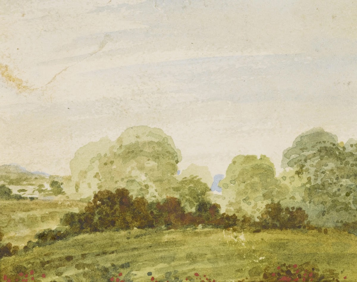 Rolling landscape with trees