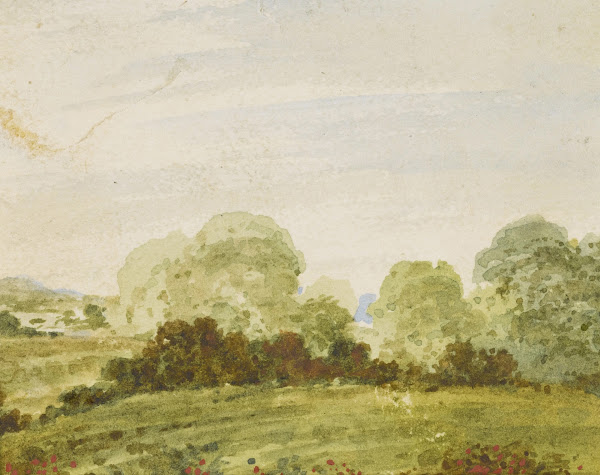 Rolling landscape with trees