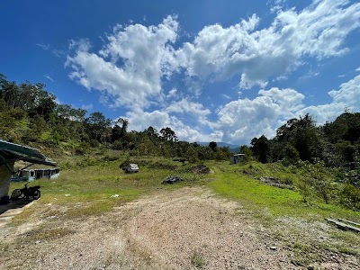 Tanah Kebun Durian Hulu Rening, Batang Kali (6.1 Ekar) — foto 10/10