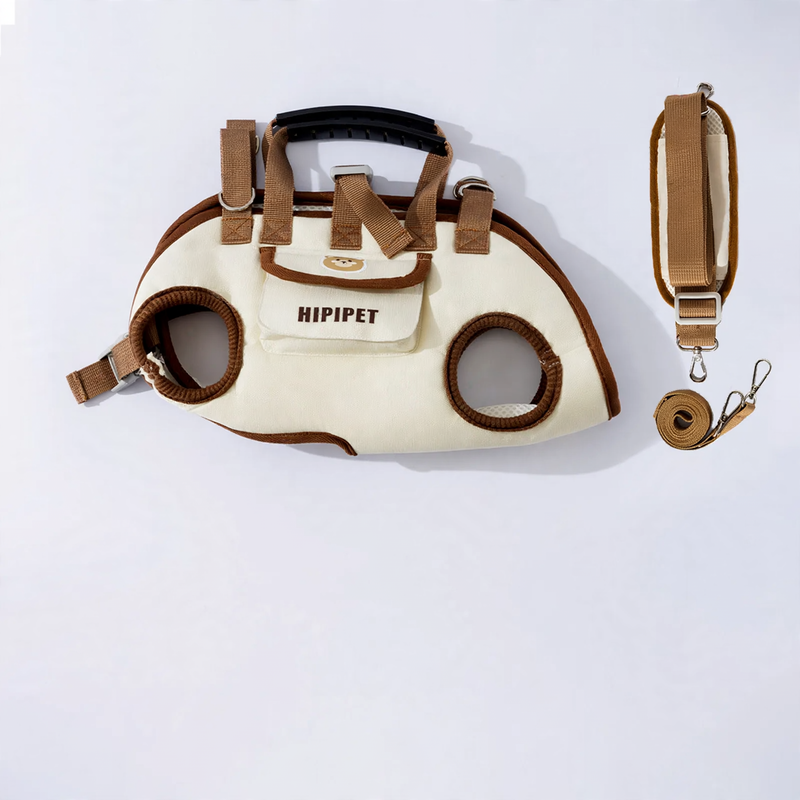 Multifunctional pet bag with leash
