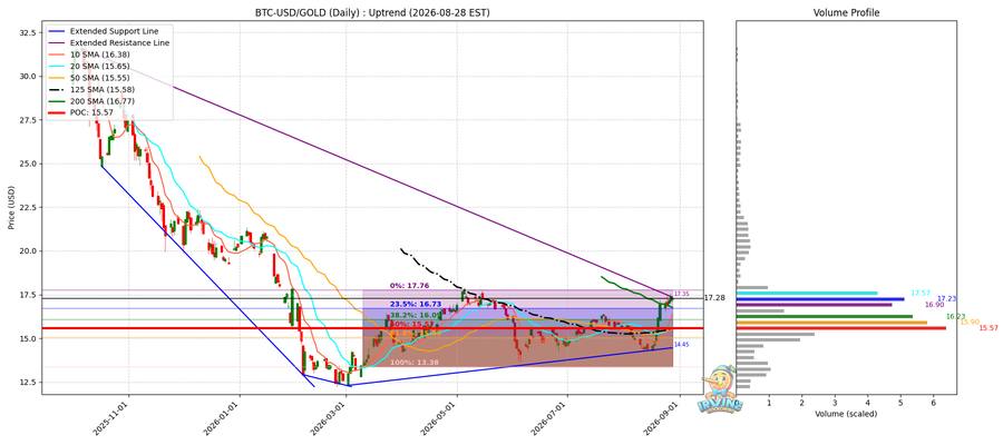 BTC vs Gold 비교