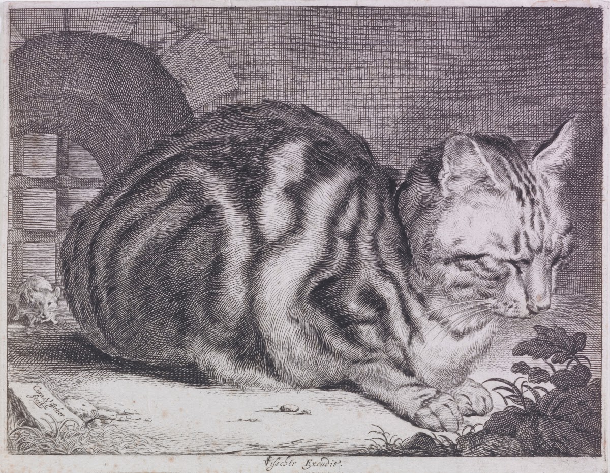 The Large Cat 16281658