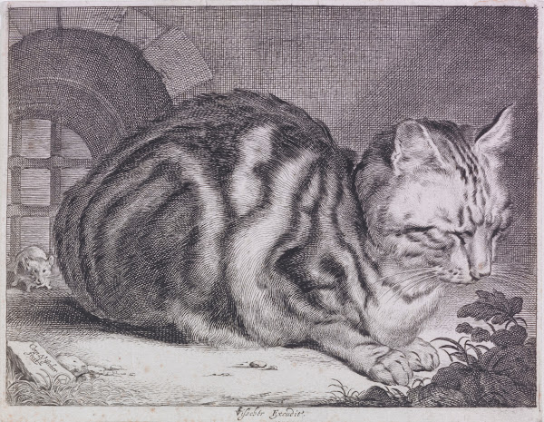 The Large Cat 16281658